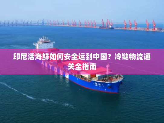 印尼活海鲜如何安全运到中国？冷链物流通关全指南