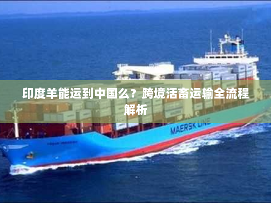 印度羊能运到中国么？跨境活畜运输全流程解析