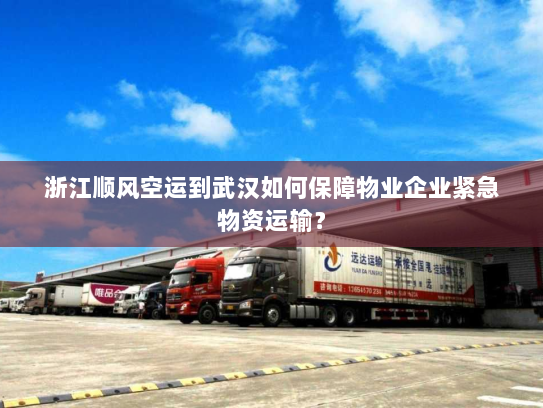 浙江顺风空运到武汉如何保障物业企业紧急物资运输？