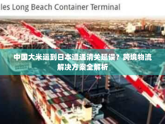 中国大米运到日本遭遇清关延误？跨境物流解决方案全解析