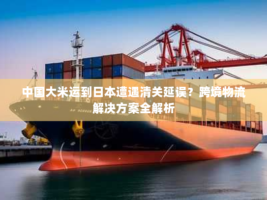 中国大米运到日本遭遇清关延误?跨境物流解决方案全解析 中国大米运到日本遭遇清关延误?跨境物流解决方案全解析