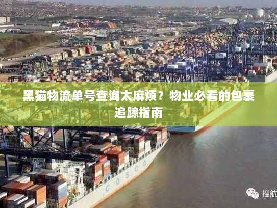 黑猫物流单号查询太麻烦?物业必看的包裹追踪指南 黑猫物流单号查询太麻烦?物业必看的包裹追踪指南
