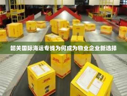 韶关国际海运专线为何成为物业企业新选择 韶关国际海运专线为何成为物业企业新选择