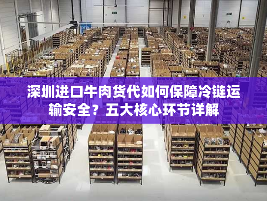 深圳进口牛肉货代如何保障冷链运输安全？五大核心环节详解