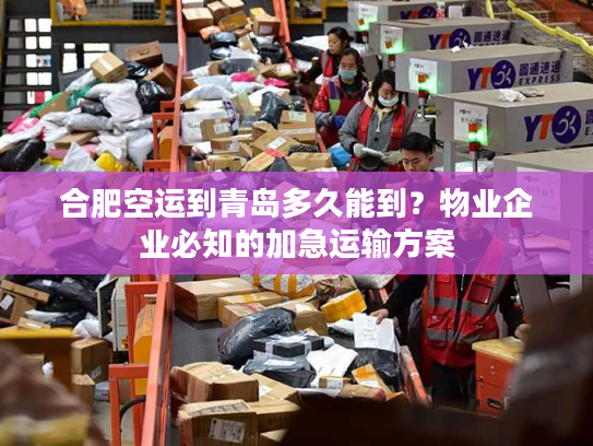 合肥空运到青岛多久能到?物业企业必知的加急运输方案 合肥空运到青岛多久能到?物业企业必知的加急运输方案
