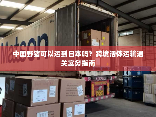 中国野猪可以运到日本吗?跨境活体运输通关实务指南 中国野猪可以运到日本吗?跨境活体运输通关实务指南