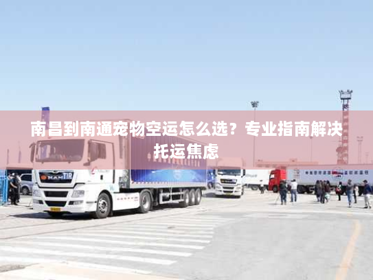 南昌到南通宠物空运怎么选?专业指南解决托运焦虑 南昌到南通宠物空运怎么选?专业指南解决托运焦虑
