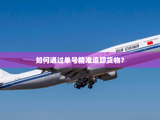 如何通过单号精准追踪货物？