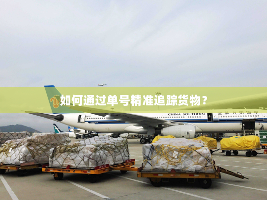 如何通过单号精准追踪货物？