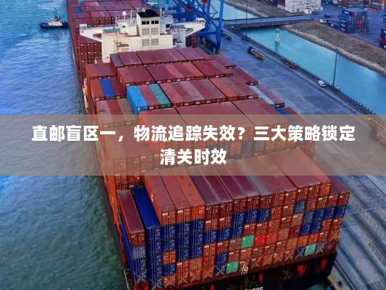 直邮盲区一，物流追踪失效？三大策略锁定清关时效