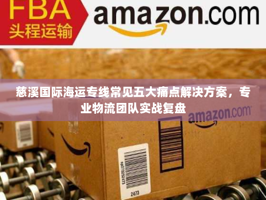 慈溪国际海运专线常见五大痛点解决方案,专业物流团队实战复盘 慈溪国际海运专线常见五大痛点解决方案,专业物流团队实战复盘