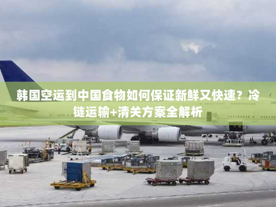 韩国空运到中国食物如何保证新鲜又快速?冷链运输+清关方案全解析 韩国空运到中国食物如何保证新鲜又快速?冷链运输+清关方案全解析