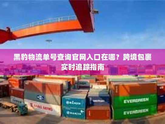 黑豹物流单号查询官网入口在哪？跨境包裹实时追踪指南