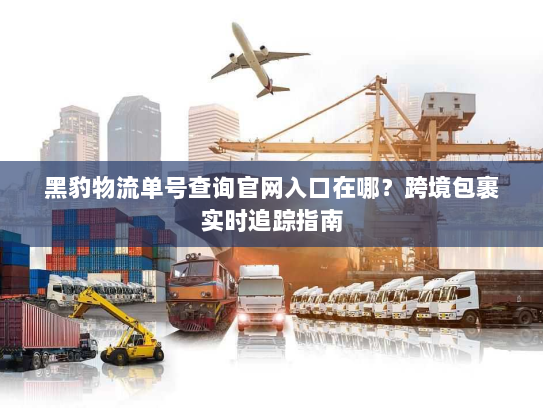 黑豹物流单号查询官网入口在哪？跨境包裹实时追踪指南