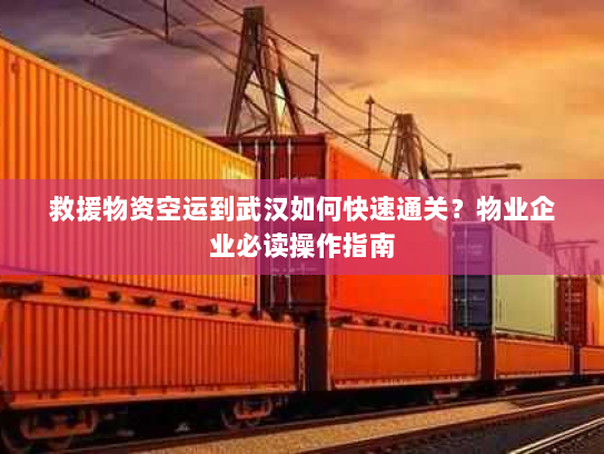 救援物资空运到武汉如何快速通关？物业企业必读操作指南
