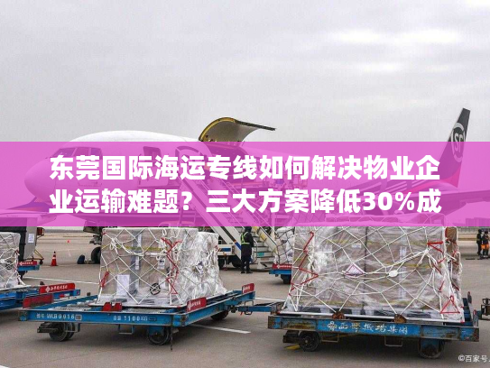 东莞国际海运专线如何解决物业企业运输难题？三大方案降低30%成本