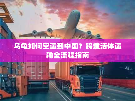 乌龟如何空运到中国?跨境活体运输全流程指南 乌龟如何空运到中国?跨境活体运输全流程指南