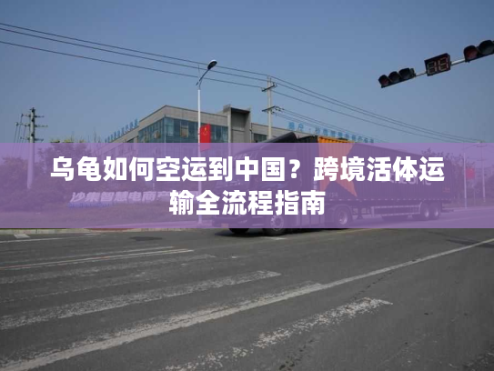乌龟如何空运到中国?跨境活体运输全流程指南 乌龟如何空运到中国?跨境活体运输全流程指南
