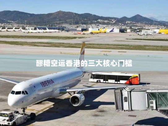 醪糟空运香港的三大核心门槛 醪糟空运香港的三大核心门槛