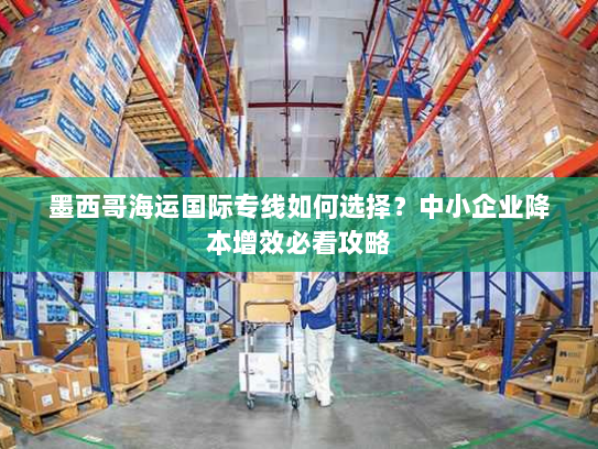 墨西哥海运国际专线如何选择？中小企业降本增效必看攻略