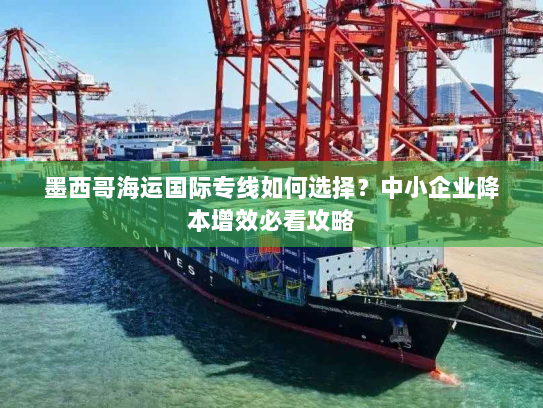 墨西哥海运国际专线如何选择?中小企业降本增效必看攻略 墨西哥海运国际专线如何选择?中小企业降本增效必看攻略