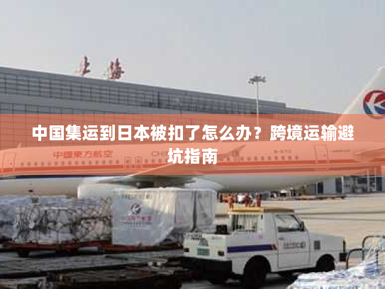 中国集运到日本被扣了怎么办？跨境运输避坑指南