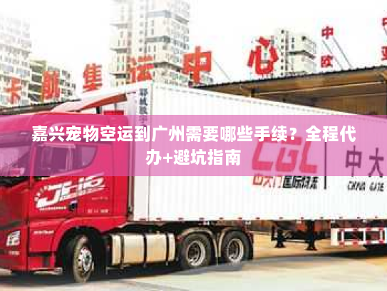 嘉兴宠物空运到广州需要哪些手续?全程代办+避坑指南 嘉兴宠物空运到广州需要哪些手续?全程代办+避坑指南