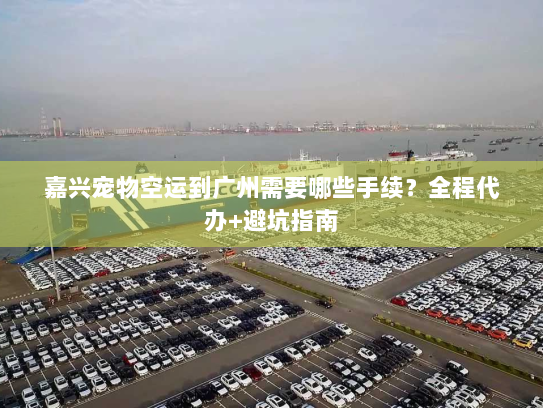 嘉兴宠物空运到广州需要哪些手续？全程代办+避坑指南