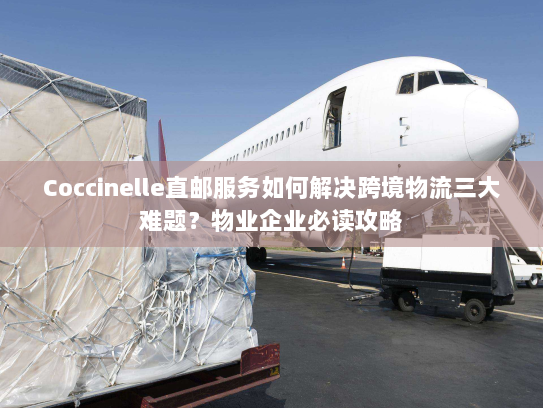 Coccinelle直邮服务如何解决跨境物流三大难题?物业企业必读攻略 Coccinelle直邮服务如何解决跨境物流三大难题?物业企业必读攻略