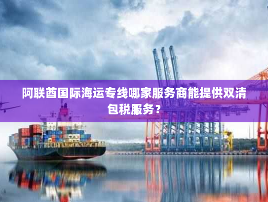 阿联酋国际海运专线哪家服务商能提供双清包税服务? 阿联酋国际海运专线哪家服务商能提供双清包税服务?