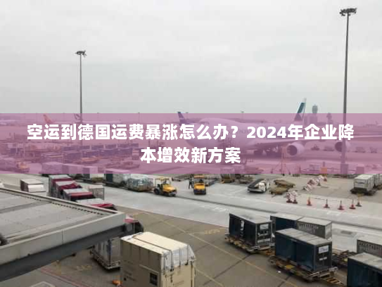 空运到德国运费暴涨怎么办?2024年企业降本增效新方案 空运到德国运费暴涨怎么办?2024年企业降本增效新方案