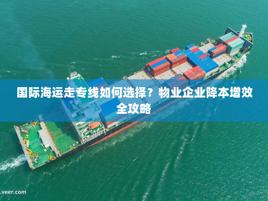 国际海运走专线如何选择？物业企业降本增效全攻略