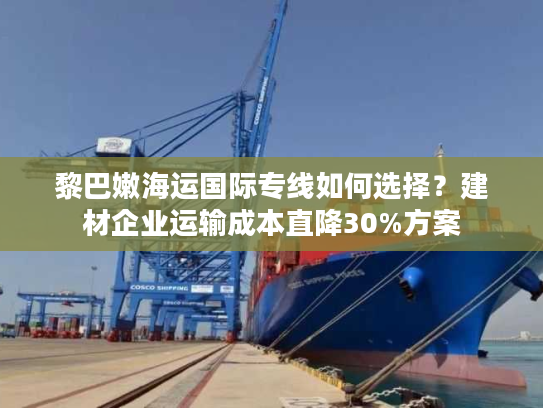 黎巴嫩海运国际专线如何选择？建材企业运输成本直降30%方案