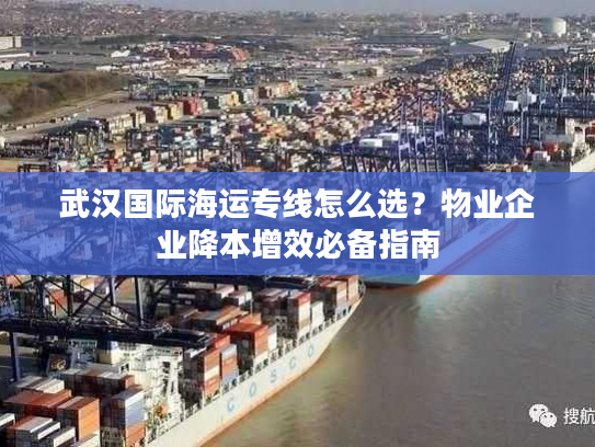 武汉国际海运专线怎么选？物业企业降本增效必备指南