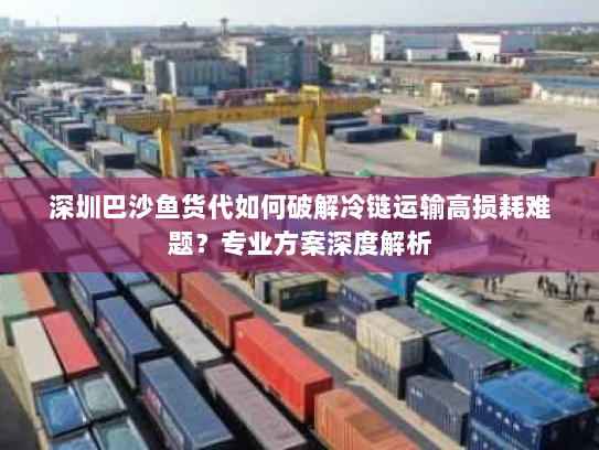 深圳巴沙鱼货代如何破解冷链运输高损耗难题?专业方案深度解析 深圳巴沙鱼货代如何破解冷链运输高损耗难题?专业方案深度解析