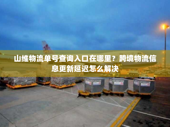 山维物流单号查询入口在哪里？跨境物流信息更新延迟怎么解决