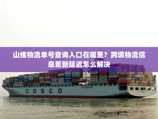 山维物流单号查询入口在哪里？跨境物流信息更新延迟怎么解决