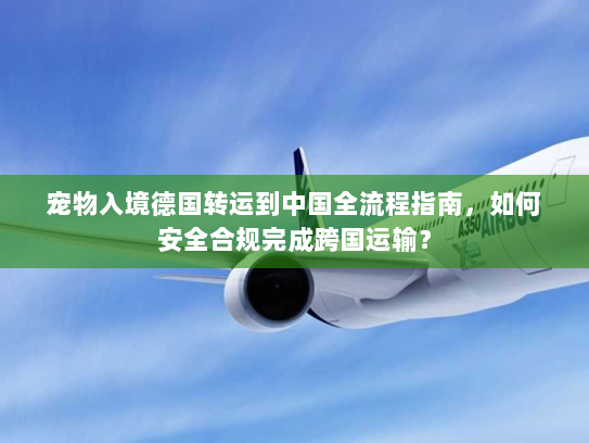 宠物入境德国转运到中国全流程指南,如何安全合规完成跨国运输? 宠物入境德国转运到中国全流程指南,如何安全合规完成跨国运输?