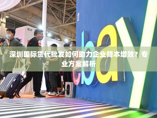 深圳国际货代批发如何助力企业降本增效？专业方案解析