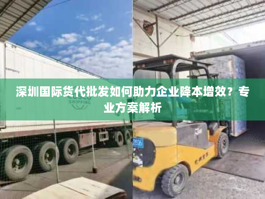深圳国际货代批发如何助力企业降本增效?专业方案解析 深圳国际货代批发如何助力企业降本增效?专业方案解析