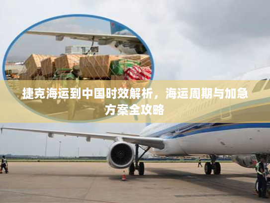 捷克海运到中国时效解析，海运周期与加急方案全攻略