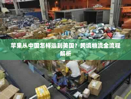 苹果从中国怎样运到美国？跨境物流全流程解析