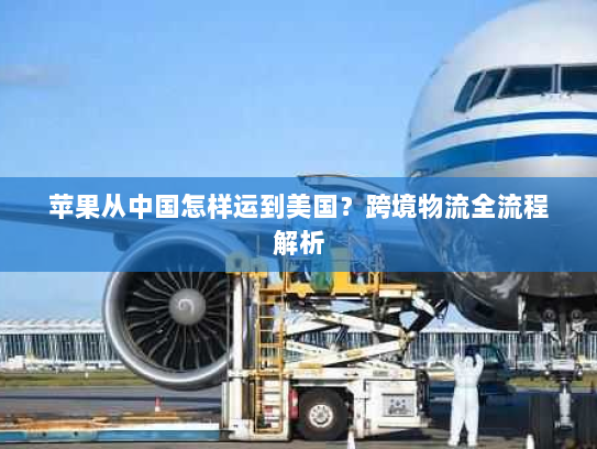 苹果从中国怎样运到美国?跨境物流全流程解析 苹果从中国怎样运到美国?跨境物流全流程解析