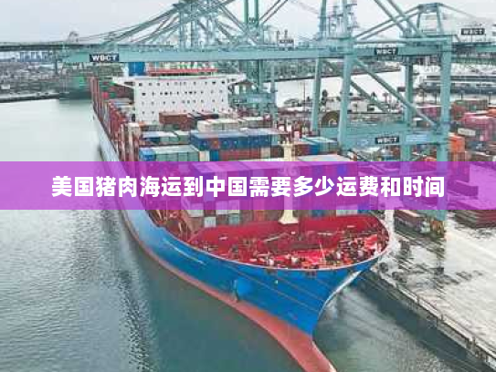 美国猪肉海运到中国需要多少运费和时间