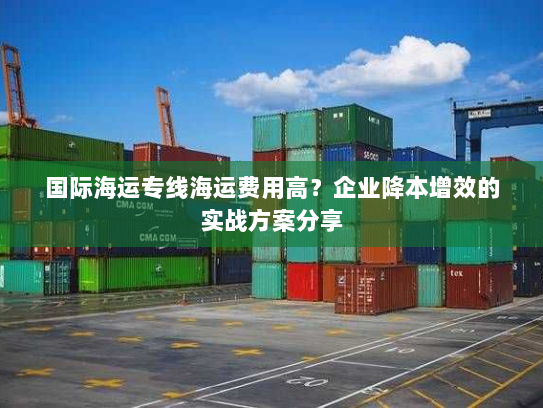 国际海运专线海运费用高?企业降本增效的实战方案分享 国际海运专线海运费用高?企业降本增效的实战方案分享