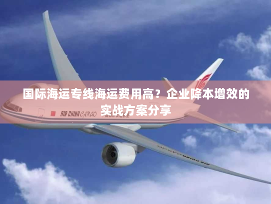 国际海运专线海运费用高?企业降本增效的实战方案分享 国际海运专线海运费用高?企业降本增效的实战方案分享