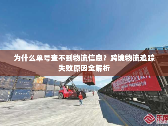 为什么单号查不到物流信息？跨境物流追踪失败原因全解析