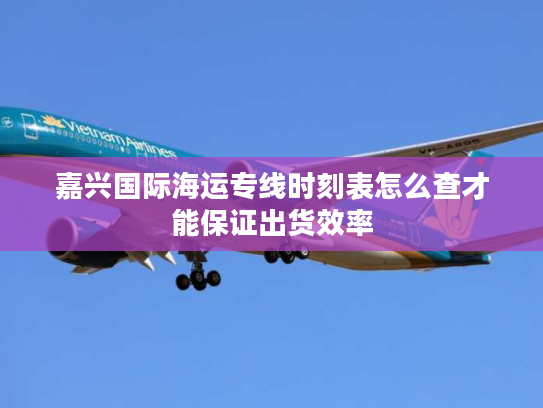 嘉兴国际海运专线时刻表怎么查才能保证出货效率