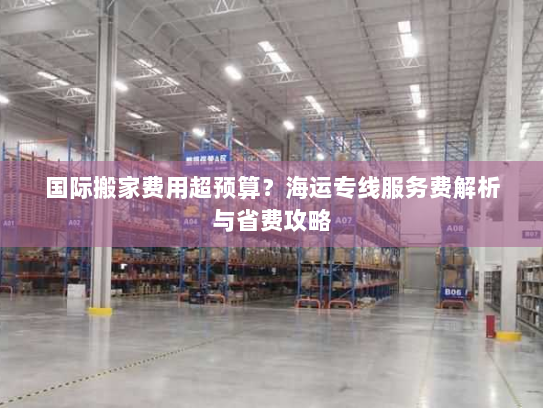 国际搬家费用超预算?海运专线服务费解析与省费攻略 国际搬家费用超预算?海运专线服务费解析与省费攻略