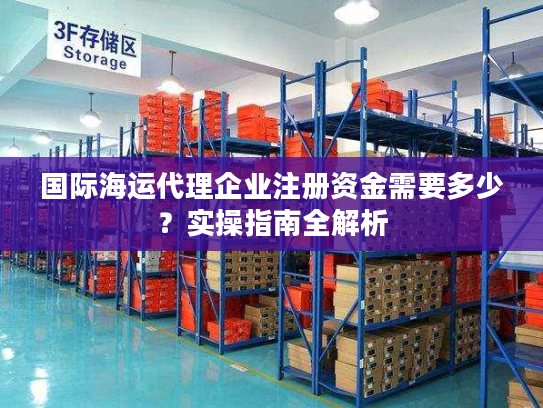 国际海运代理企业注册资金需要多少？实操指南全解析